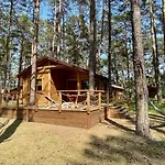 Ferienhaus W Borsku *