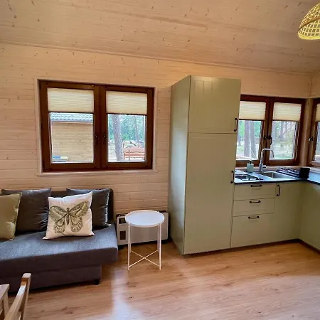Holiday home W Borsku